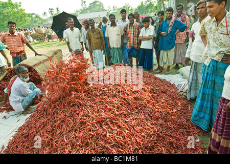 Le Bangladesh entourant de bogra Banque D'Images