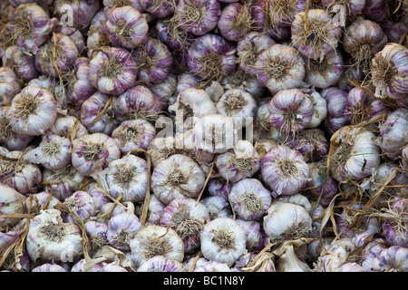 Une pile de l'ail sur un étal du marché Banque D'Images