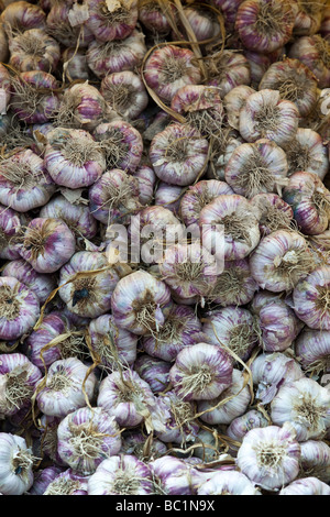 Une pile de l'ail sur un étal du marché Banque D'Images