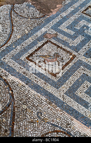 Détail de mosaïque ornée dans les ruines de l'Agora une ancienne ville grecque et romaine dans le Dodécanèse île de Kos en Grèce Banque D'Images