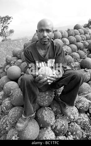 Haïti, Nord, Cap Haïtien. La Citadelle La Ferrière, forteresse de montagne. Banque D'Images