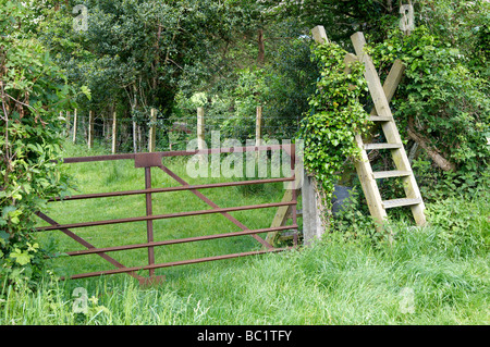 Rusty farm gate et échelle en bois stile à Rhydyronen sur la bordure sud du Parc National de Snowdonia, Pays de Galles Banque D'Images