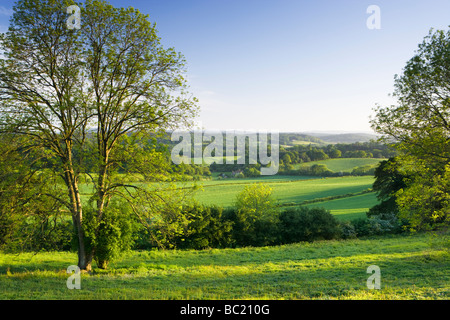 Vue sud de North Downs à Newlands Corner, Surrey, UK Banque D'Images