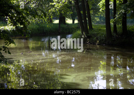 Park. L'Île Elagin, Saint-Pétersbourg, Russie. Banque D'Images