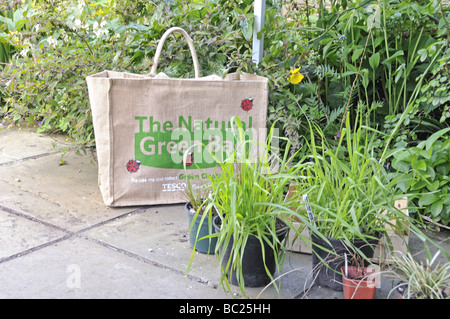 Le sac vert naturel jardin en pots parmi Banque D'Images