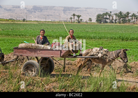 Nil Egypte agriculture agriculteur ferme domaine deux garçons âne Banque D'Images
