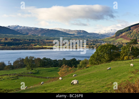 Près de Loch Tay Killin, Ecosse Banque D'Images