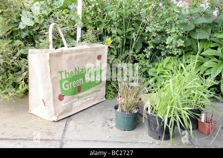 Le sac vert naturel dans un jardin avec des plantes Banque D'Images