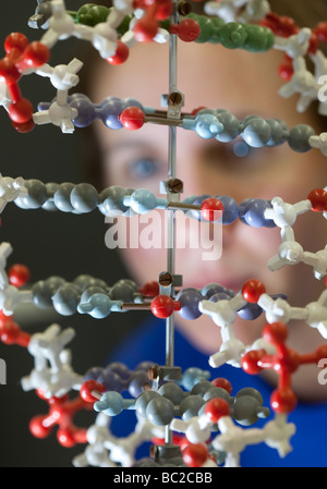 Assis derrière un élève modèle de l'ADN à l'Institut Max Planck à Berlin Banque D'Images