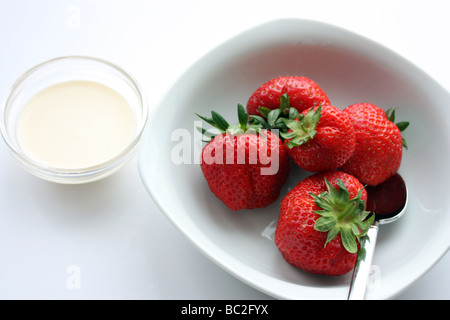 Fraises fraîches et crème servi dans une assiette blanche et tourné sur un white bakground Banque D'Images