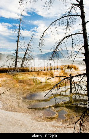 Vue panoramique de Mammoth Hot Springs dans le Parc National de Yellowstone Banque D'Images