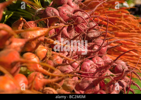 Les betteraves et les carottes à la vente à l'agriculteur du marché Santa Barbara Californie s Banque D'Images