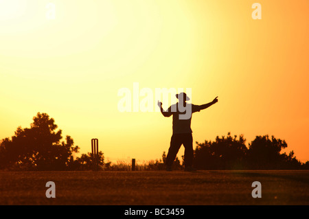 Juge-arbitre lors d'un match de cricket de signalisation sur une soirée d'été à Luton, en Angleterre. Banque D'Images