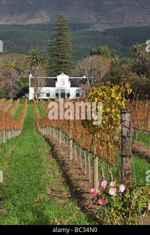 Une Cape Dutch traditionnels sur une propriété familiale ferme appelée vin Buitenverwachting à Constantia, Cape Town, Afrique du Sud Banque D'Images