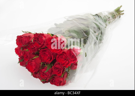 Bouquet de roses rouges enveloppées dans du cellophane claire Banque D'Images