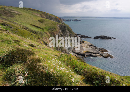 Vue depuis le chemin de la côte du Pembrokeshire, près de Solva, Pays de Galles, Royaume-Uni Banque D'Images