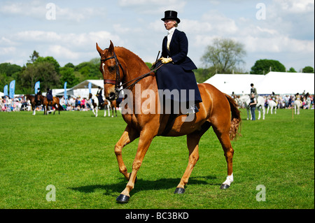 Le côté élégant rider à un événement équestre au cours de la Northumberland County Show à Helsinki le 25 mai 2009 Banque D'Images
