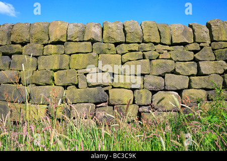 Détail du mur de pierres sèches, Mankinholes près de Todmorden, West Yorkshire, Angleterre, Royaume-Uni. Banque D'Images