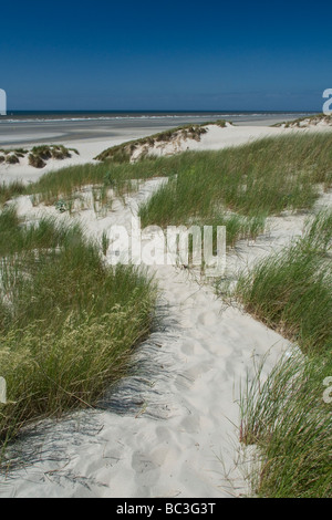 Plage de sable blanc du Touquet dans le Nord de la France Banque D'Images