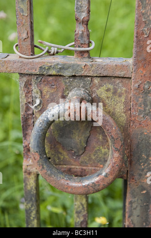 Close up de fer rouillé le verrou de la porte l'anneau avec l'écaillage de la peinture colorée et la corrosion de l'entrée du cimetière à l'église Banque D'Images