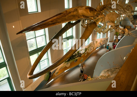 North Carolina Museum of Natural Sciences. Banque D'Images