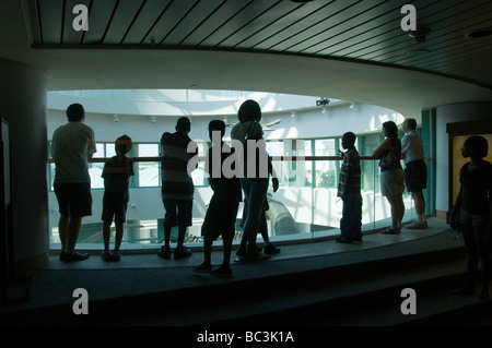 North Carolina Museum of Natural Sciences. Banque D'Images