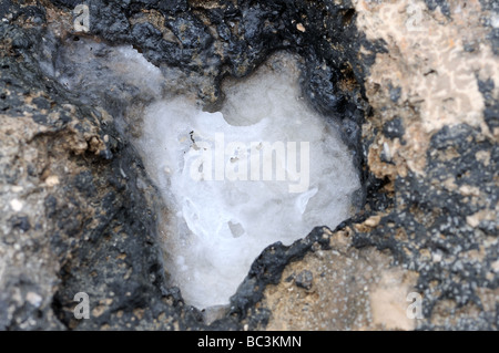 Le sel dans la pierre volcanique sur la côte atlantique de Fuerteventura, Espagne Banque D'Images