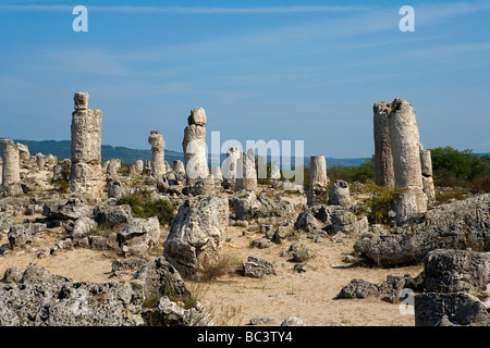 Bulgarie - Région du nord-est - la région de Dobrogea - Pobiti Kamani (forêt de pierre plantés ou petrified) Banque D'Images