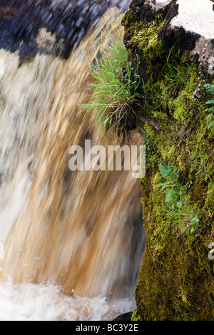 Cascade de la rivière Swale Richmond North Yorkshire Banque D'Images