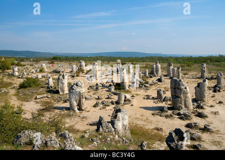 Bulgarie - Région du nord-est - la région de Dobrogea - Pobiti Kamani (forêt de pierre plantés ou petrified) Banque D'Images