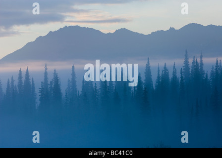 Matin brouillard à col large Alaska Banque D'Images