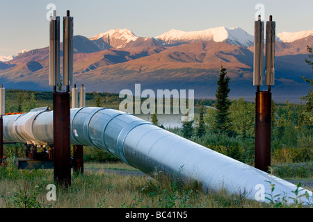 Alaska pipeline de pétrole qui traversent le centre de l'Alaska Range Banque D'Images