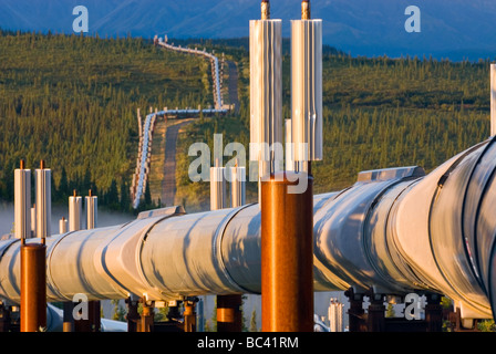 Alaska pipeline de pétrole qui traversent le centre de l'Alaska Range Banque D'Images