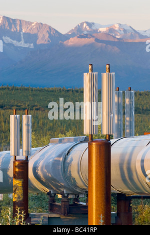 Alaska pipeline de pétrole qui traversent le centre de l'Alaska Range Banque D'Images