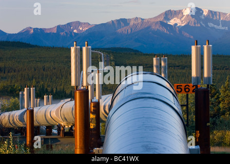 Alaska pipeline de pétrole qui traversent le centre de l'Alaska Range Banque D'Images