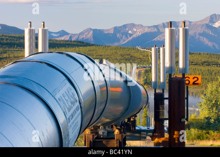 Alaska pipeline de pétrole qui traversent le centre de l'Alaska Range Banque D'Images