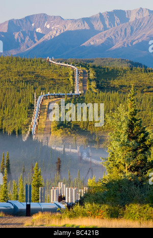 Alaska pipeline de pétrole qui traversent le centre de l'Alaska Range Banque D'Images