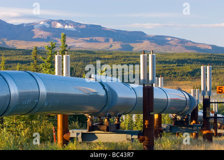 Alaska pipeline de pétrole qui traversent le centre de l'Alaska Range Banque D'Images