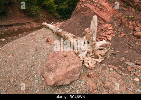 'Debris' juste inshore à Wasson Bluff près de Parrsboro, Mina, du bassin de la baie de Fundy, en Nouvelle-Écosse, à l'Est du Canada. Banque D'Images