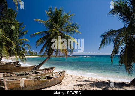 Dominican Republic - Centre - Entre Samana et Las Galeras - Playa Playuela Banque D'Images