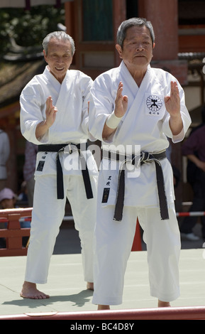 Deux hommes portant des dogi et ceintures noires de karaté-grève main couteau poser au cours d'une démonstration d'arts martiaux à Kyoto au Japon Banque D'Images