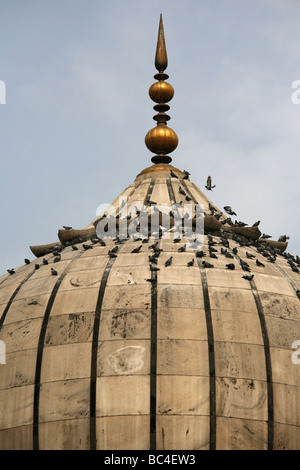La coupole principale de la mosquée Jama Masjid à New Delhi la plus grande mosquée de l'Inde Banque D'Images