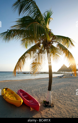 Vue sur un paradis plage avec palmier sur l'île des Caraïbes Curaçao dans les Antilles néerlandaises Banque D'Images