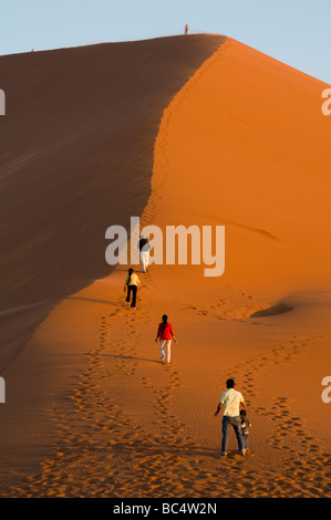 Les touristes de grimper sur la Dune 45 dans la région de Sossusvlei Parc National en Namibie Banque D'Images