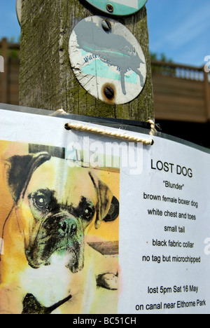 Poster à la main pour chien manquant, boxer, par le Grand Union canal sentier à Brentford, Londres, Angleterre Banque D'Images