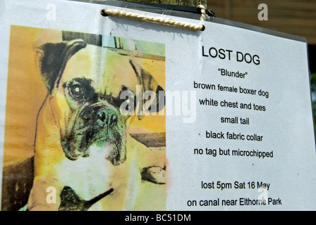 Poster à la main pour chien manquant, boxer, par le Grand Union canal sentier à Brentford, Londres, Angleterre Banque D'Images