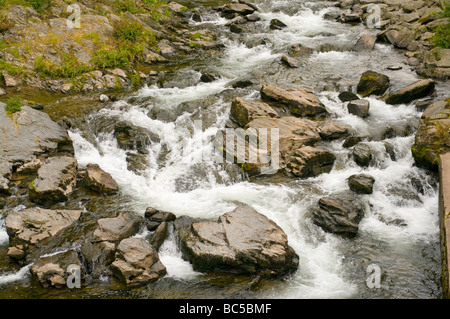 L'Est du fleuve Lyn sur les rochers en cascade à Lynmouth Devon, Angleterre du Nord Banque D'Images