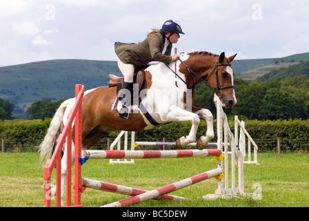 Femme rider dans un concours de saut à Pandy Show, nr Abergavenny, Pays de Galles, Royaume-Uni. Brown & White horse saute une clôture. Banque D'Images