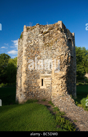 Jardins de l'abbaye de Bury St Edmunds, Suffolk, UK Banque D'Images