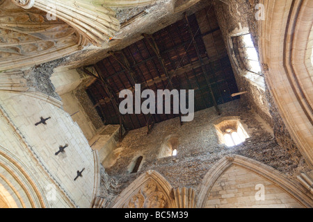 Vue intérieure de la toiture de la tour de la porte de l'abbaye de Bury St Edmunds, Suffolk, UK Banque D'Images